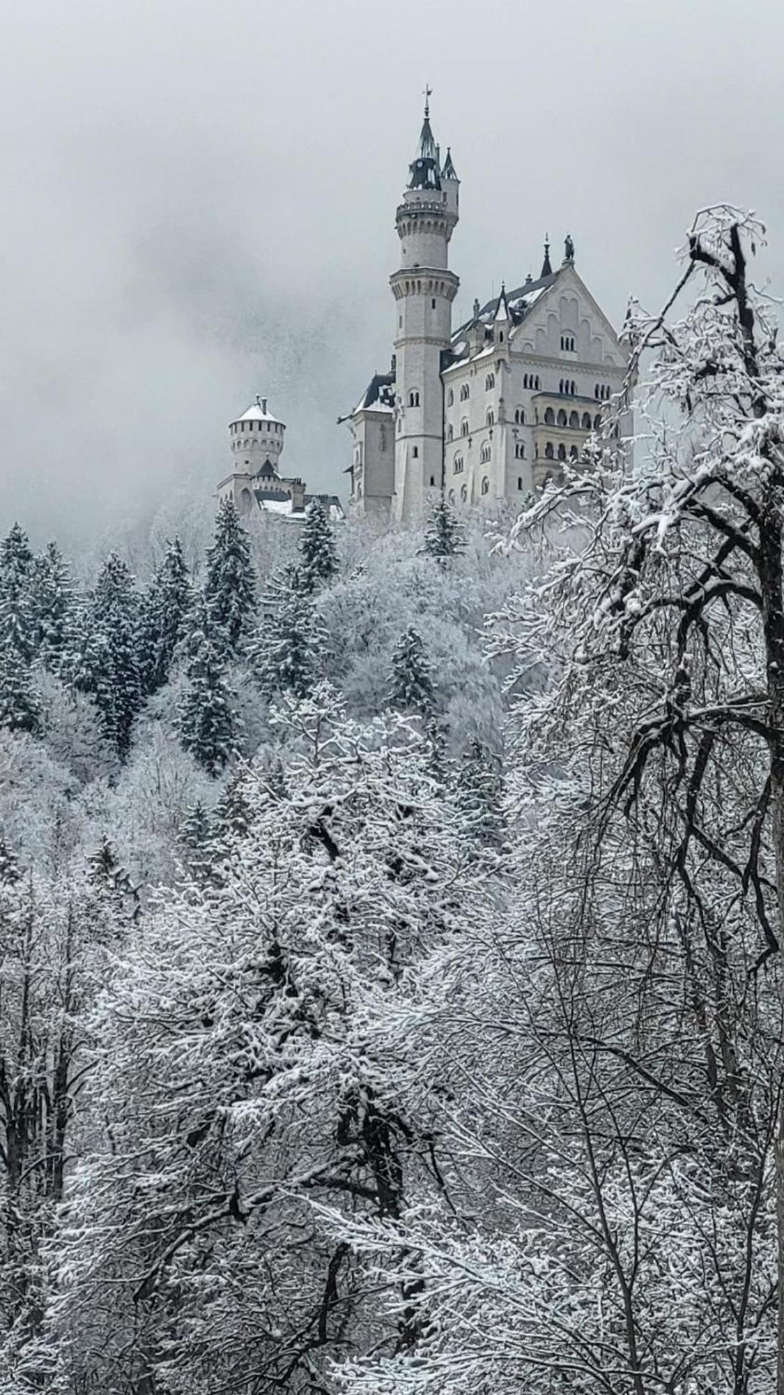 House La Neuschwanstein Blick - Budget City Hotel Füssen Esterno foto